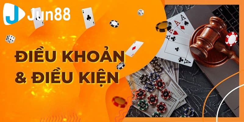 Điều khoản điều kiện được hiểu sơ lược là gì