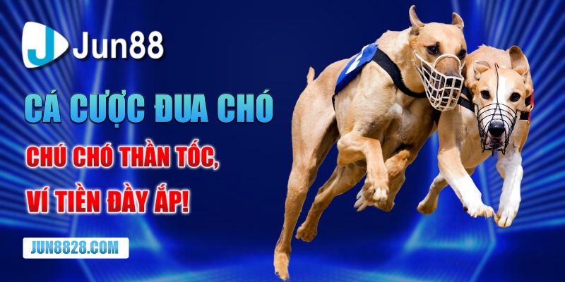 Cá cược đua chó